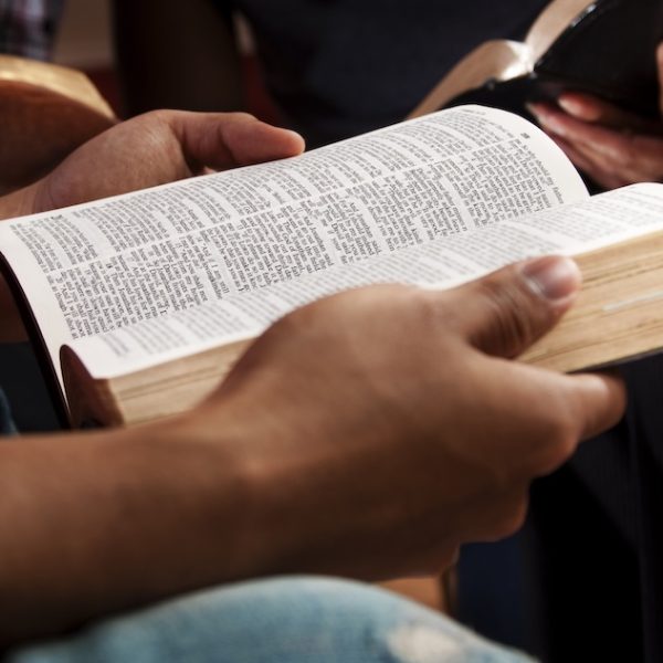 Young adults meeting together in a Bible study.  Focus on the Open Bible.